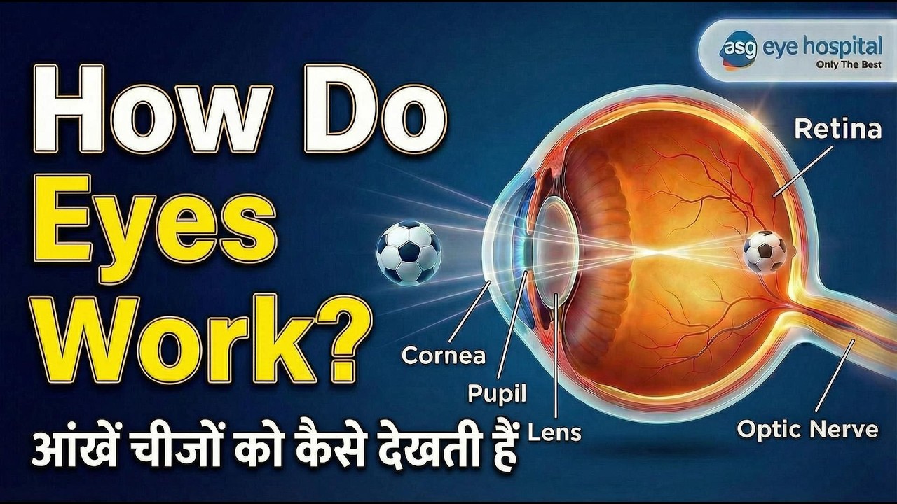 How Do Eyes Work? | आंखें चीजों को कैसे देखती हैं?